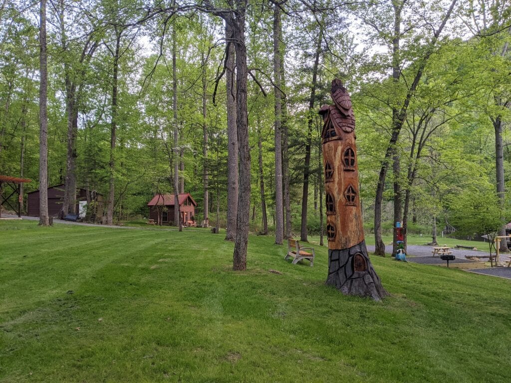 Camp Cacapon Tree Carving