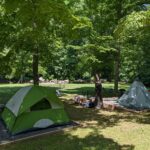 camp tents