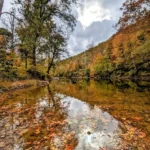 PXL_20231020_1903086674